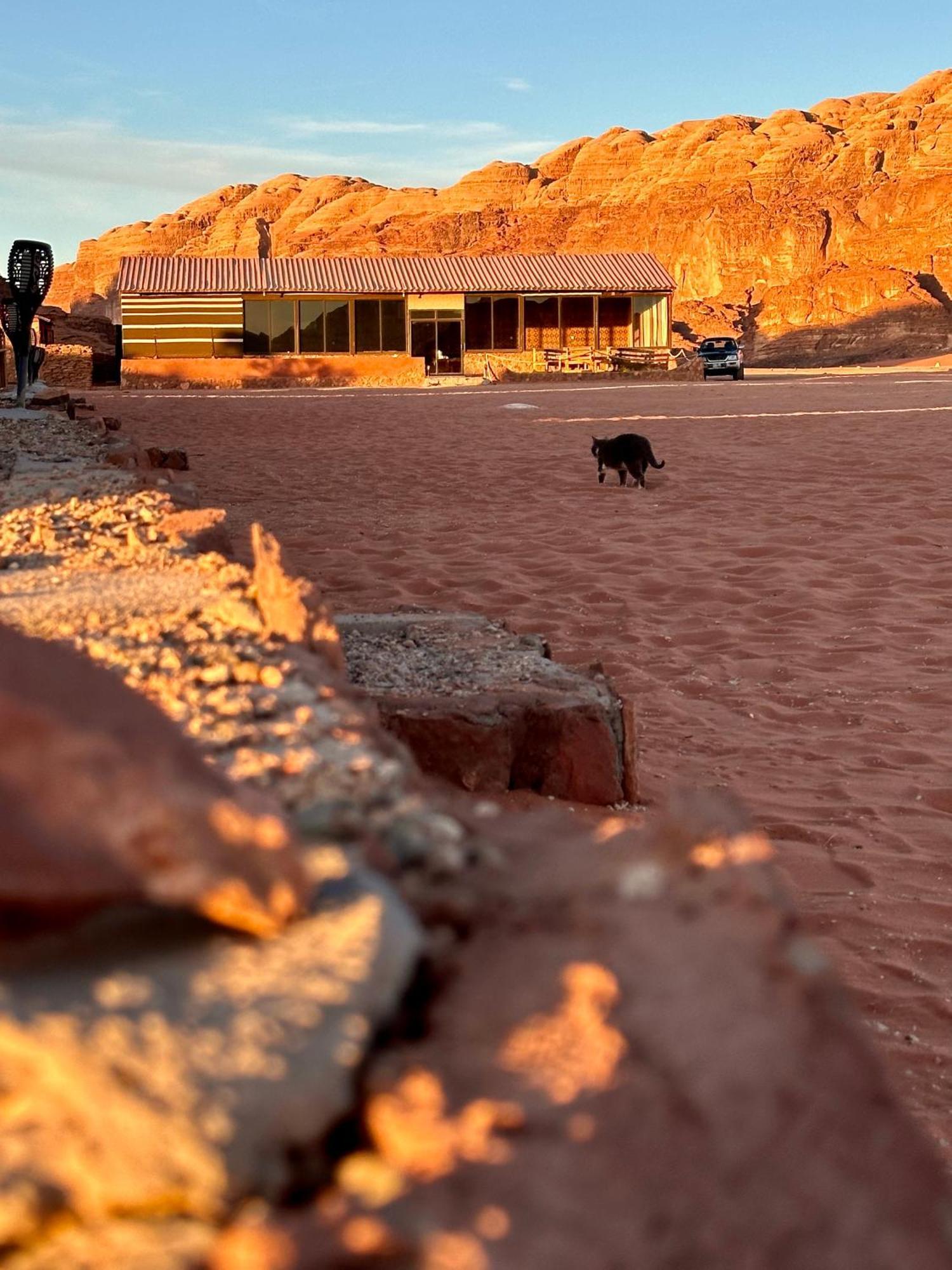 Salameh'S Bedouin Camp Hotell Wadi Rum Eksteriør bilde